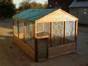 covered run for bird flu protection