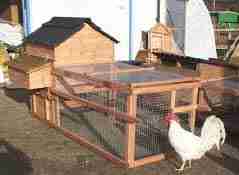 house and run for 4- 6 chickens