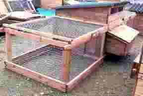 picture hintsford broody coop