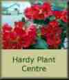 hardy plant centre scotland