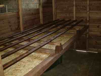 perch arrangement inside the ranger poultry house