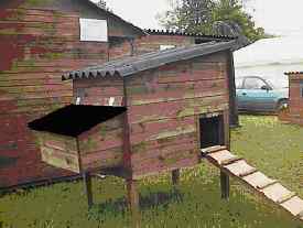 stafford junior raised house for 3 chickens